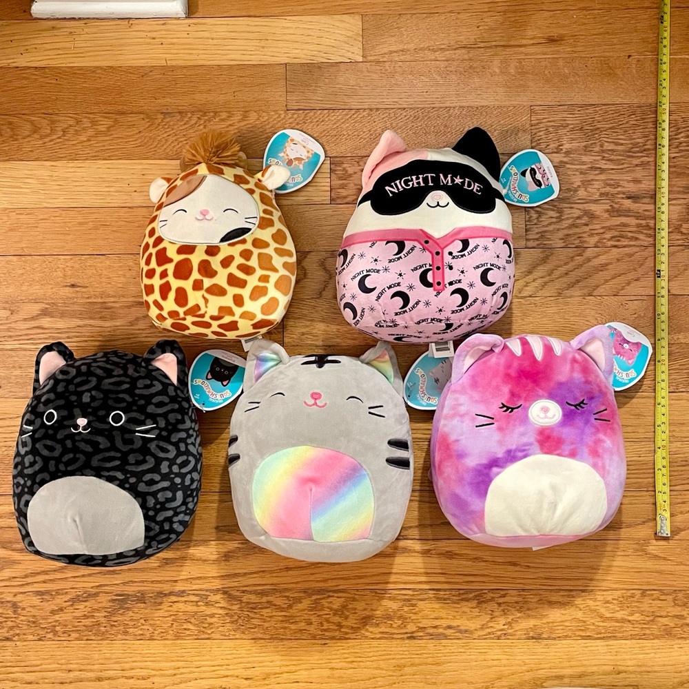 Set of 5 Cat Squishmallows Tally Katsla Caeli  Cam Xiomara 8” NWT